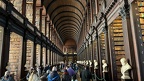 IMG 6605 (Large)