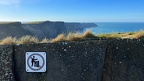 IMG 6810 (Large)