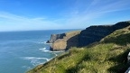 IMG 6811 (Large)