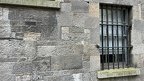 IMG 6953 (Large)