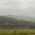 IMG 7182 (Large)
