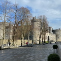 IMG 7488 (Large)